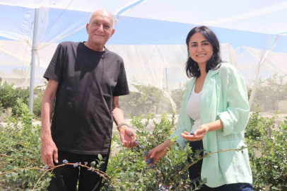 Şehir hayatından yorulan çift, topraksız tarım üreticisi oldu
