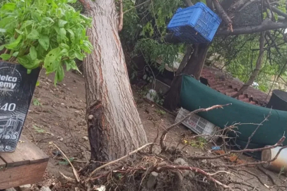 Serik’te sağanak ve hortum evin çatısına zarar verdi, iki ağacı kökünden söktü
