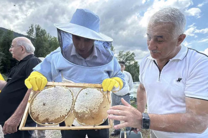 AB tescilli Yenice ıhlamur balında hasat başladı

