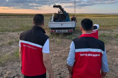 Çekirge üreme alanları ilaçlandı
