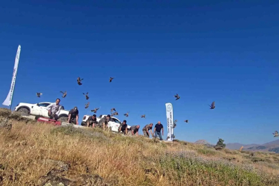 Diyarbakır’da keneye karşı doğal mücadele
