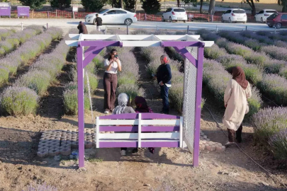 Çorum’un lavanta bahçesi vatandaşların gözdesi oldu
