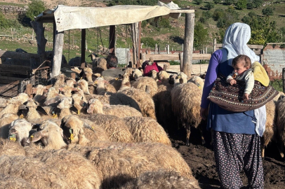 Erzincan Tulum Peyniri yaylalarda geleneksel yöntemlerle üretiliyor