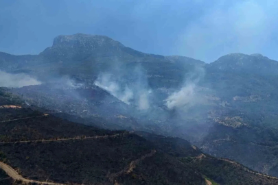 Alanya’daki orman yangınında mücadele ikinci gününde: Bölge dron ile görüntülendi
