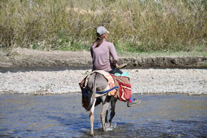 Şırnak yaylaları göçerlerle doldu
