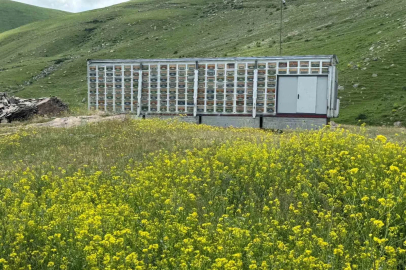 Kars’ta arıcılıkta devrim: Türkiye’nin en büyük mobil arı üretim üssü hizmete girdi
