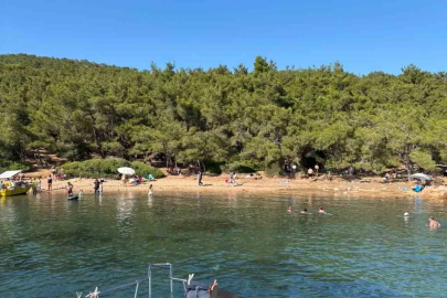 Ayvalık’ta ormanlara giriş yasak ama denetim yetersiz
