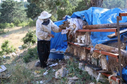 Emekli imam, Toroslar’ın zirvesinde arılarla doğal hayatı seçti
