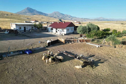 Niğde’de hayvancılık yapan aileler, evlerine elektrik istiyor

