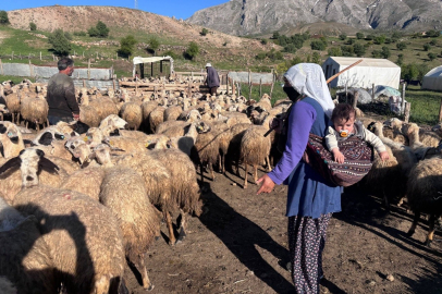 Yaylalarda başlayan emek, Erzincan tulum peyniri olarak sofralara ulaşıyor