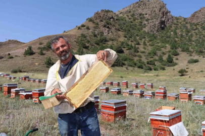 Oltu’da sezonun ilk bal hasadı yapıldı
