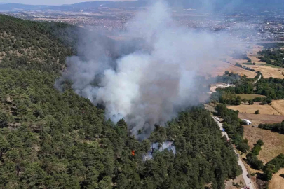 Bolu’da orman yangını başladı
