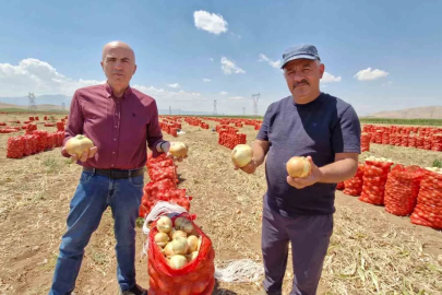 Karaman’da yazlık soğan üreticisinin yüzünü güldürüyor
