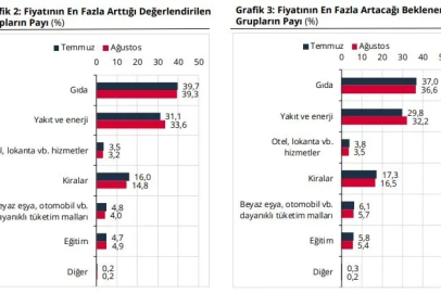 TCMB, hanehalkı beklentilerini açıkladı