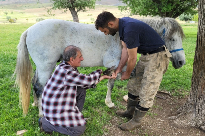 Kemaliye’de zamana direnen usta: 50 yıldır nalbantlık yapıyor
