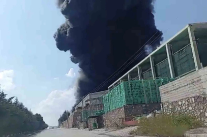 Elazığ’da fabrika yangını: Bölgeye çok sayıda ekip gönderildi
