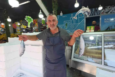Düzce’de palamut tezgaha indi, vatandaş sıraya girdi
