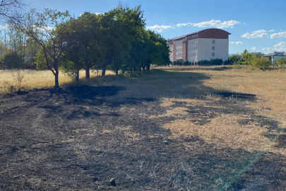 Erzincan’da anız yangını büyümeden söndürüldü