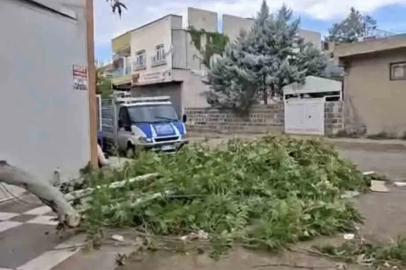 Siverek’te etkili olan fırtına, tarlada çalışan işçilere zor anlar yaşattı
