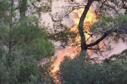 Muğla’daki orman yangınına müdahale devam ediyor
