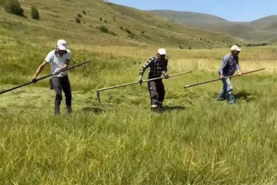 Sağanak yağışlar tarımsal çalışmaları vurdu: Çiftçinin işi bir ay geriye kaldı
