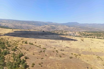 Bolu’daki orman yangını kontrol altına alındı
