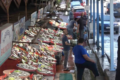 Yalova Balık Hali’nde fiyatlar düşüşe geçti
