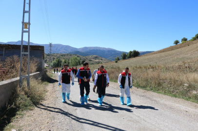 Erzincan'da hayvanları kenelere karşı korumak için ilaçlama başladı