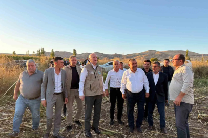 TZOB Genel Başkanı Şemsi Bayraktar, Akin’de ay çekirdeği hasadına katıldı
