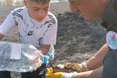 Yangında yaralanan kirpiyi itfaiye ekipleri hayata döndürdü
