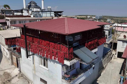 Kavurucu sıcakta tek tek ipe dizilen dolmalık acı biberler, mahalledeki balkonları kırmızıya bürüdü
