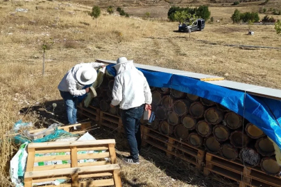 Tunceli’de yüzyıllık arıcılık geleneği yaşatılıyor
