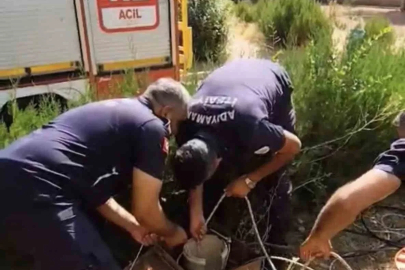 Kuyuya düşen yavru kediyi itfaiye kurtardı
