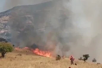 Nazımiye’de orman yangınına havadan ve karadan müdahale
