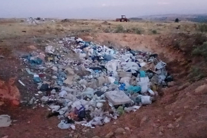 Köylünün çöp tepkisi: "Bu sene iki danamız telef oldu"
