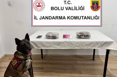 TEM’de yolcu otobüsünde 810 gram esrar ele geçirildi; 1 tutuklama
