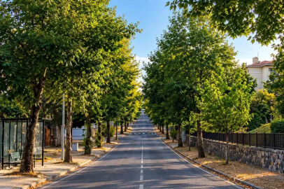 Aynı nokta 4 mevsim

