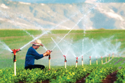 Erzincan’da tarıma 169,6 milyon liralık hibe desteği