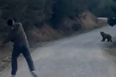 Bolu’da karşılarına çıkan ayıyı taşla kovaladılar
