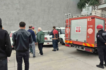 Yavru kedi itfaiye ekiplerini peşinden koşturdu
