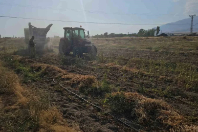 Tarımın kalbi Adilcevaz’da fasulye hasadına başlandı
