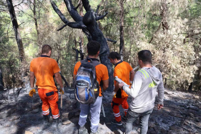 Kozan’da yanan 5 bin 900 hektarlık alanda yeniden yeşil vatan mesaisi başladı: Ağaçlar tek tek damgalanıyor

