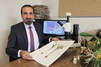 Muş’ta yetişen yeni bitki türü keşfedildi
