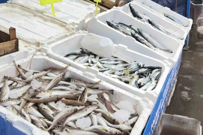 Fırtına balık tezgahlarını hareketlendirdi: Karaburun’da palamut bolluğu
