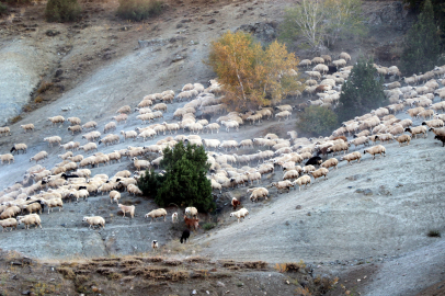 Erzincan’da yaylacılar, 5 aylık sezonun ardından dönüş yolculuğuna başladı