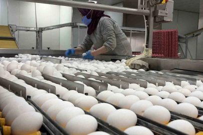 Yumurta üreticilerinin gözü Tahıl Koridoru’nda

