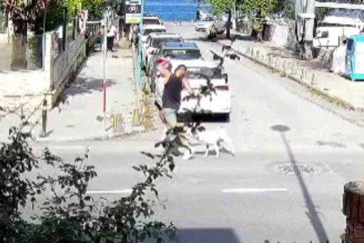 Sarıyer’de başıboş köpekler vatandaşları tedirgin ediyor
