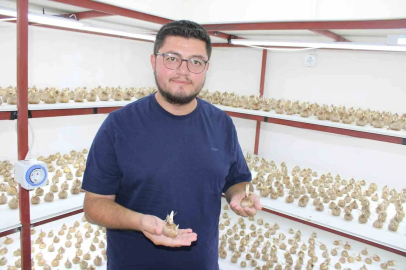 ’Kayseri’de yetişmez’ denildi, girişimci başardı
