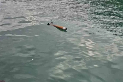 Hopa’da deniz yüzeyinde roket benzeri cisim alarmı
