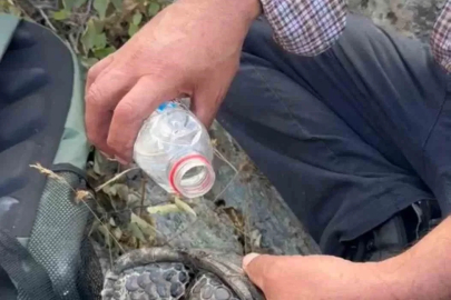 Elazığ’da yangından kaçan kaplumbağaya vatandaşlar sahip çıktı
